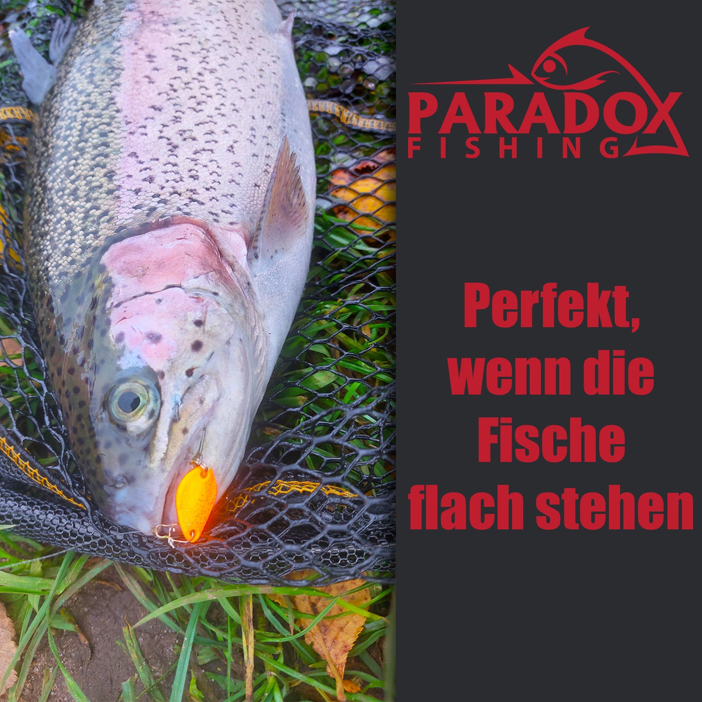 Forellen Spoon 1,2g Set 5 Stück