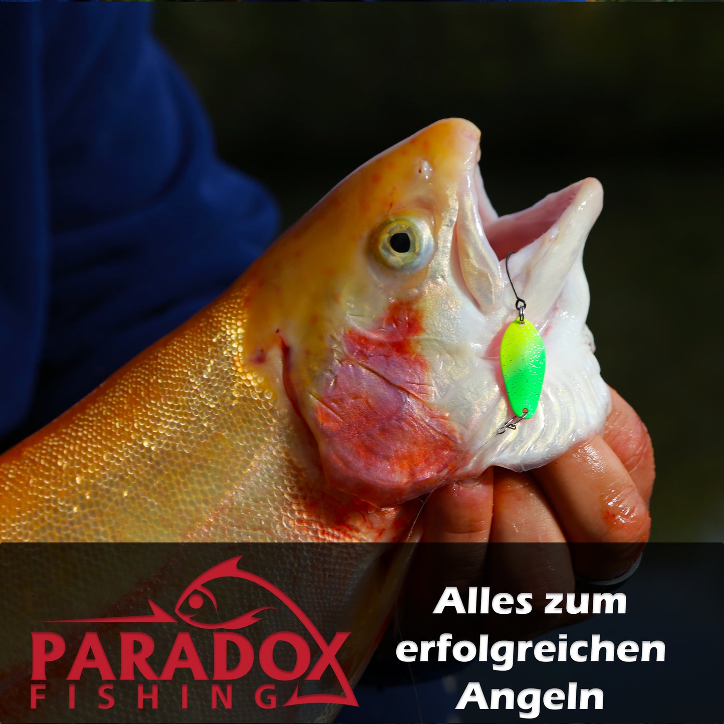 Forellen Spoon 1,5g Set 5 Stück