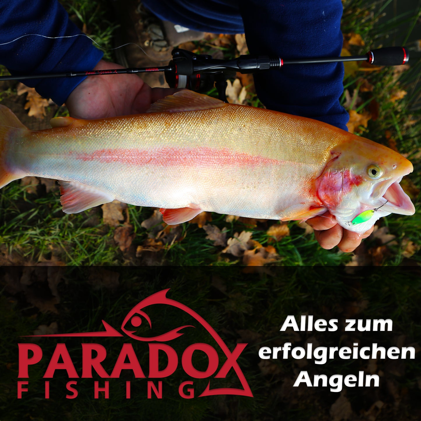 Trout Series X UL-Rute 1,85m 1,2-4g Ultralight Forellenrute