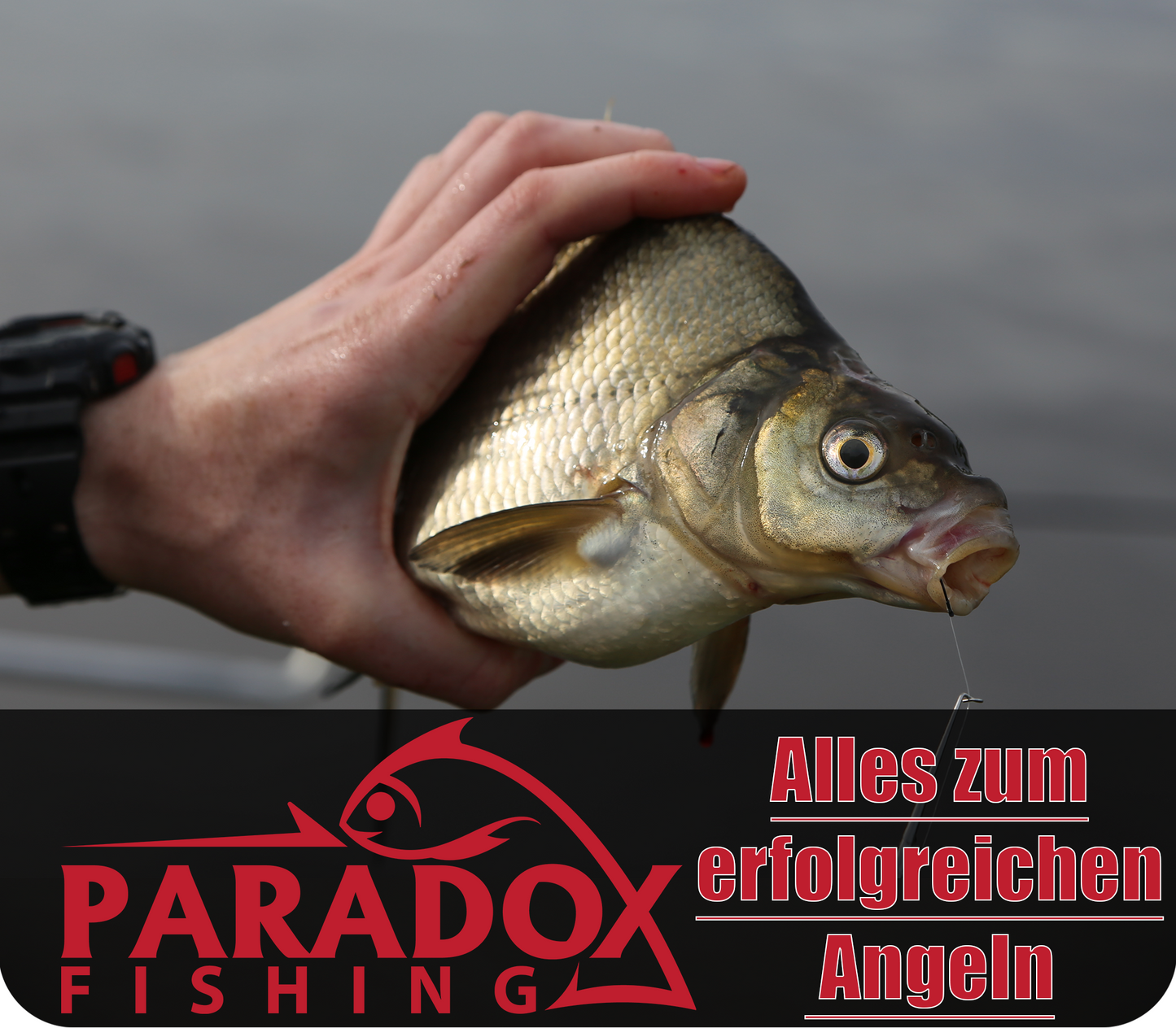Posen-Set 5 Stück (2,5g-6g) 2g vorgebleit