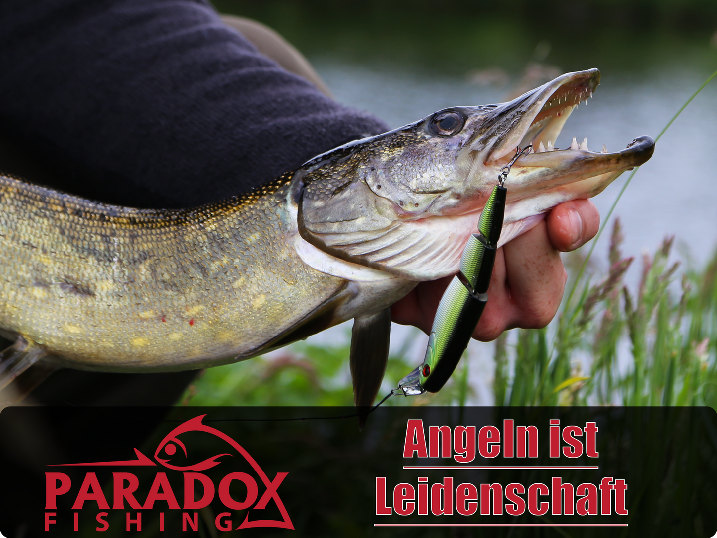 Raubfisch Kescher 1,7m mit gummierten Netz