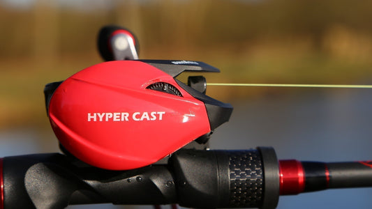 Baitcast Guide für Anfänger - Paradox Fishing