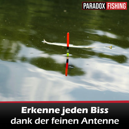 Posen-Set 5 Stück (2,5g-6g) 2g vorgebleit