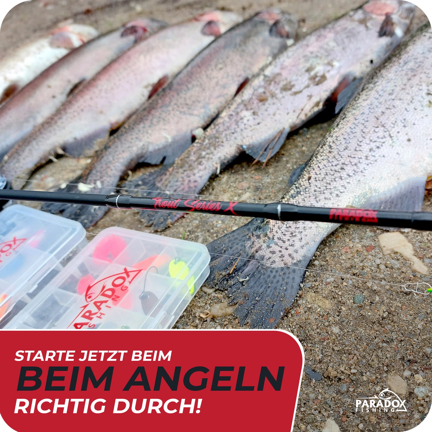 Trout Series X UL-Rute 1,85m 1,2-4g Forellenrute