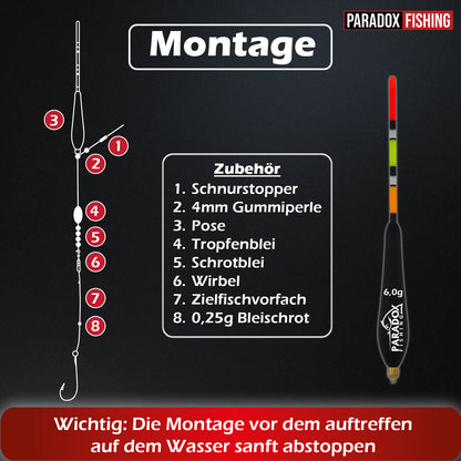 Posen-Set 5 Stück (2,5g-6g) 2g vorgebleit
