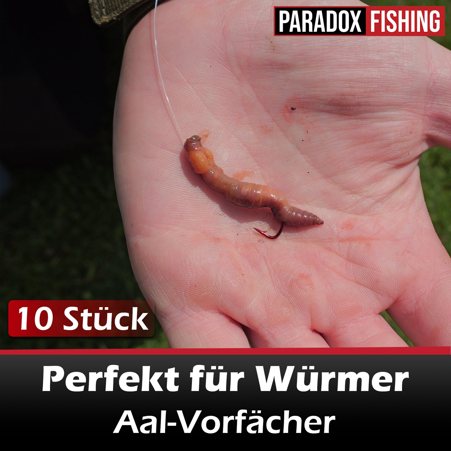 Aal-Vorfächer 10 Stück an Hochleistungsschnur - Wurmhaken