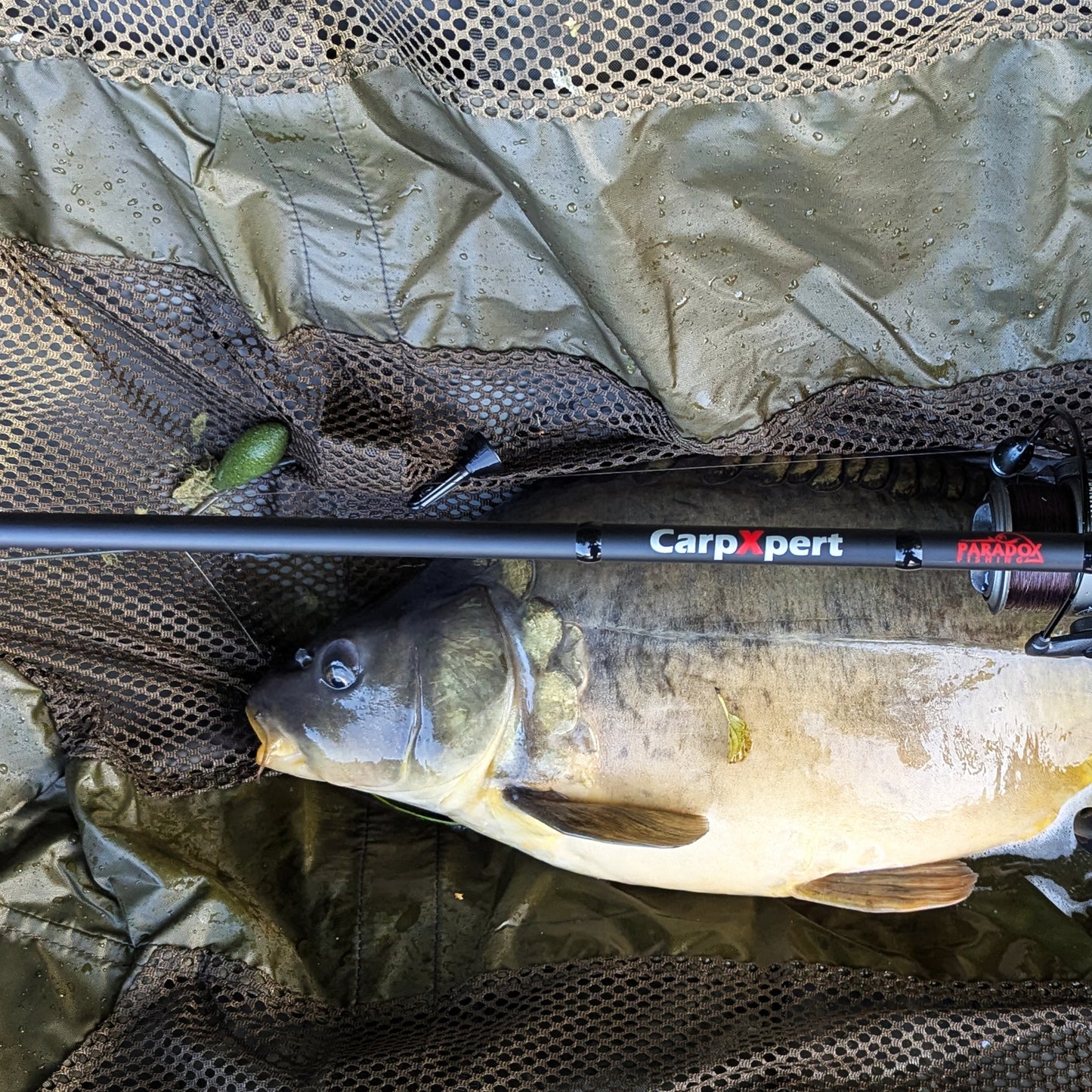 Absenkblei Sets 20g/30g/40g Downrigger