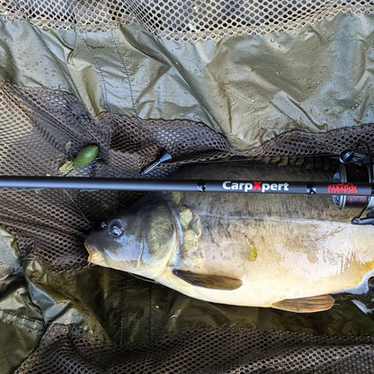 Absenkblei Sets 20g/30g/40g Downrigger