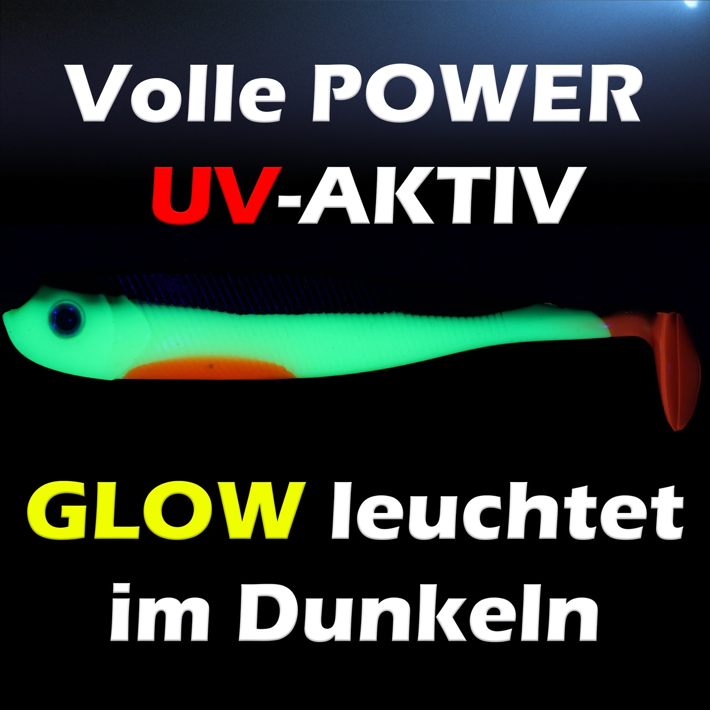 PX Zander Shad Gummifisch 10cm - verschiedene Farben