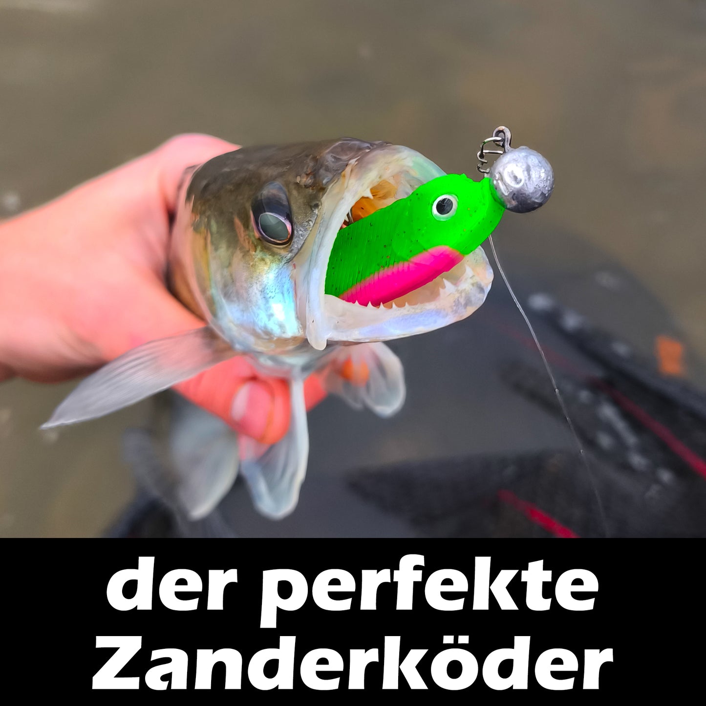 PX Zander Shad Gummifisch 10cm - verschiedene Farben