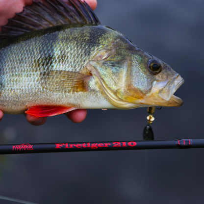 Firetiger Spinnrute 210/240/270 für Barscht, Hecht und Zander