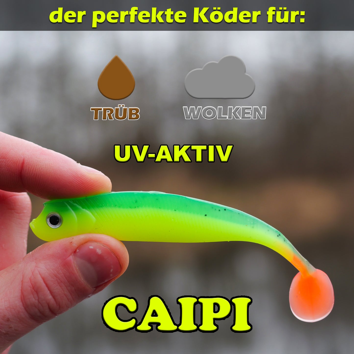 PX Zander Shad Gummifisch 10cm - verschiedene Farben