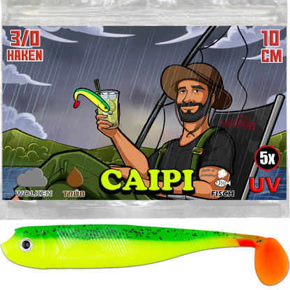 PX Zander Shad Gummifisch 10cm - verschiedene Farben