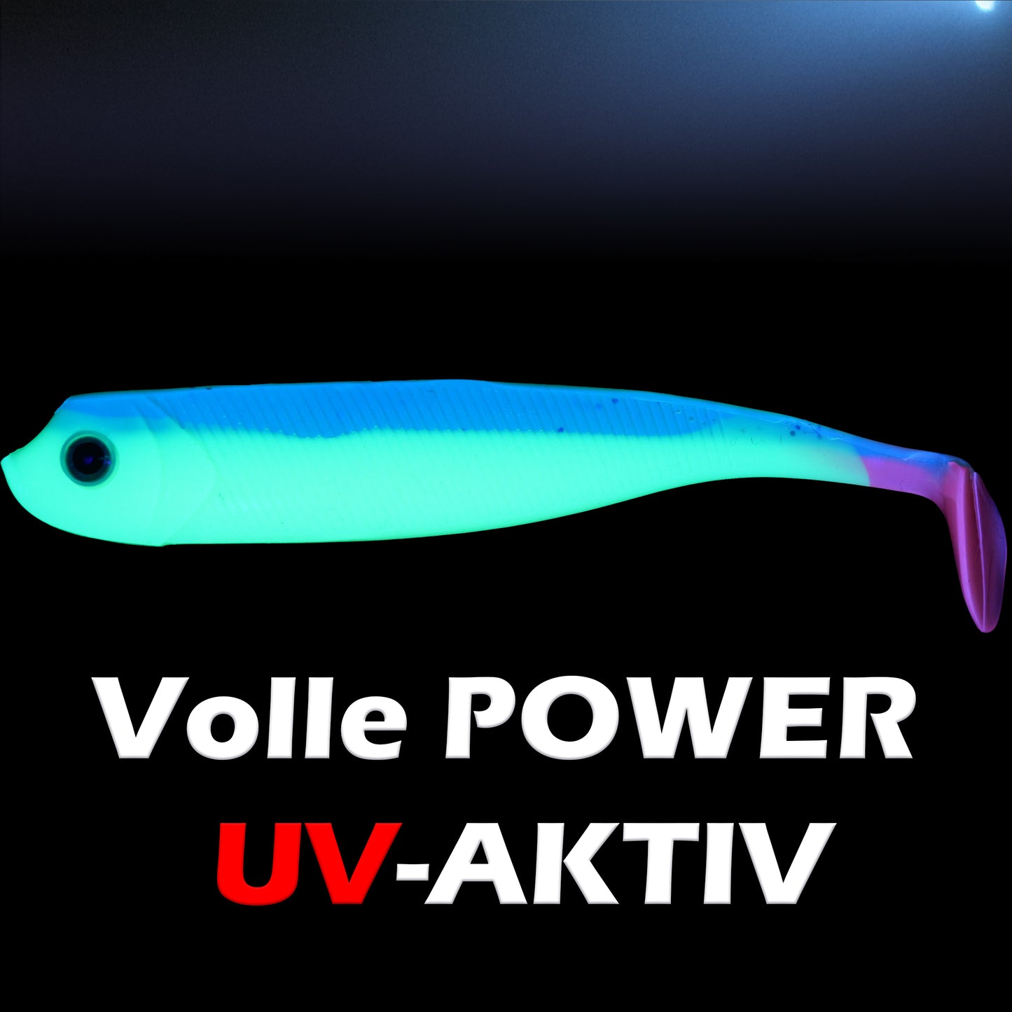 PX Zander Shad Gummifisch 10cm - verschiedene Farben