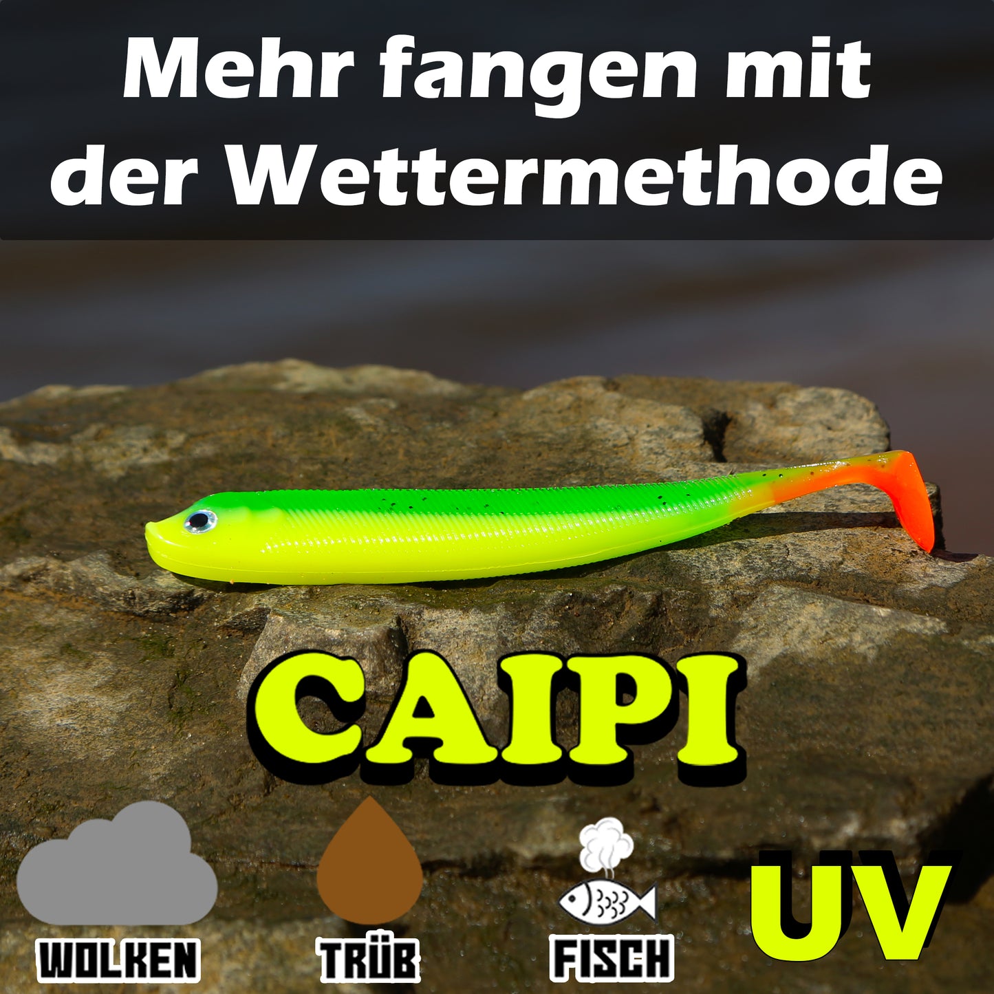 PX Zander Shad Gummifisch 13cm