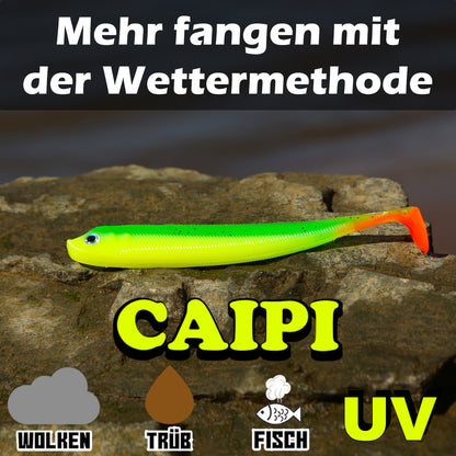 PX Zander Shad Gummifisch 13cm