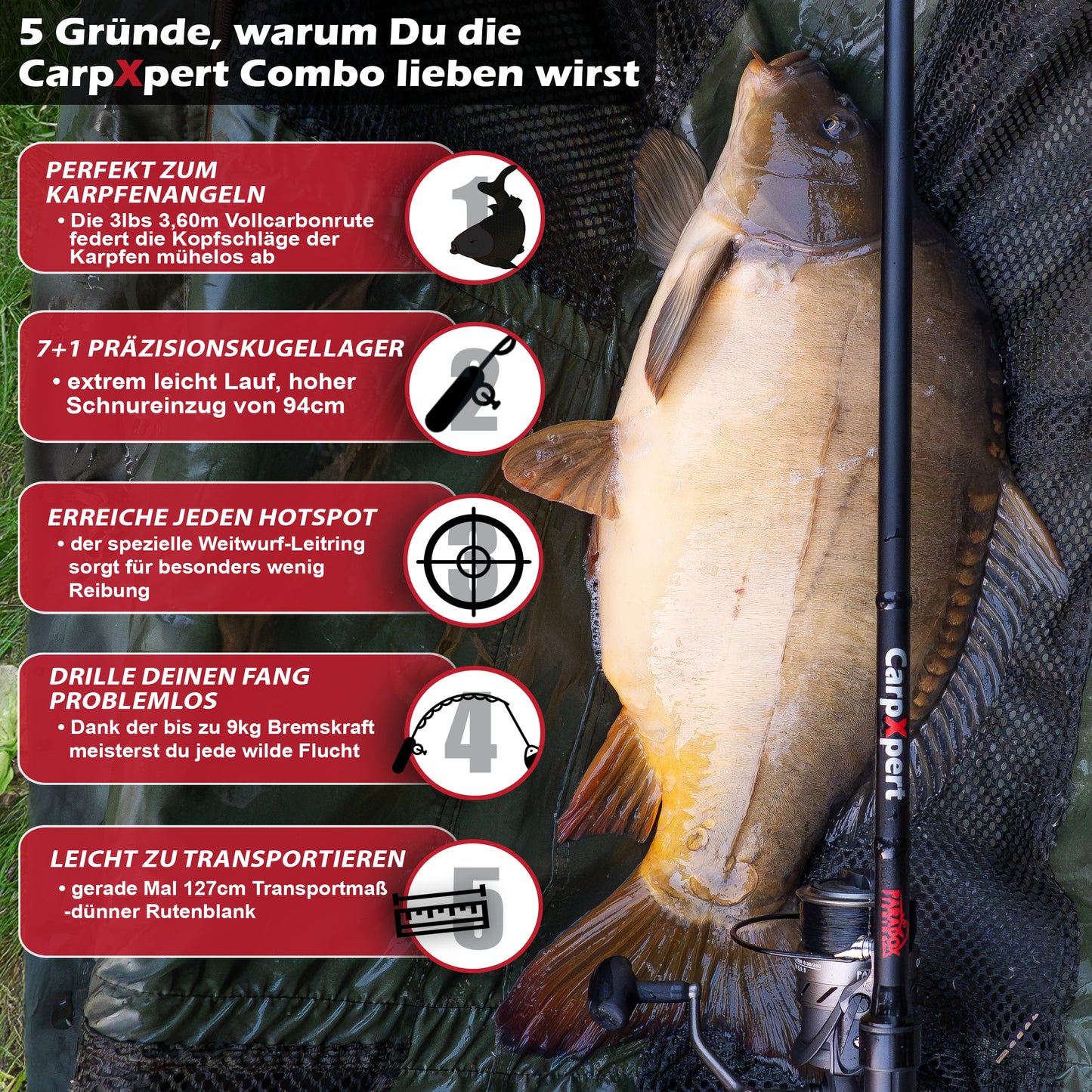 CarpXpert Karpfenrute 360 3lbs 3-Teilig
