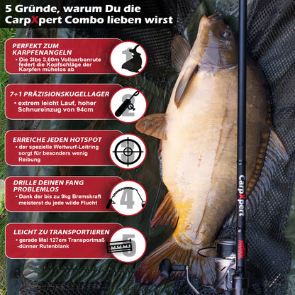 CarpXpert Karpfenrute 360 3lbs 3-Teilig