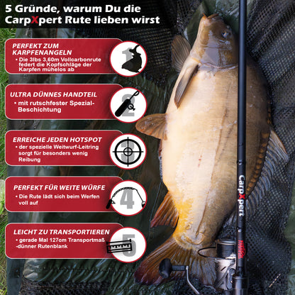 CarpXpert Karpfenrute 360 3lbs 3-Teilig