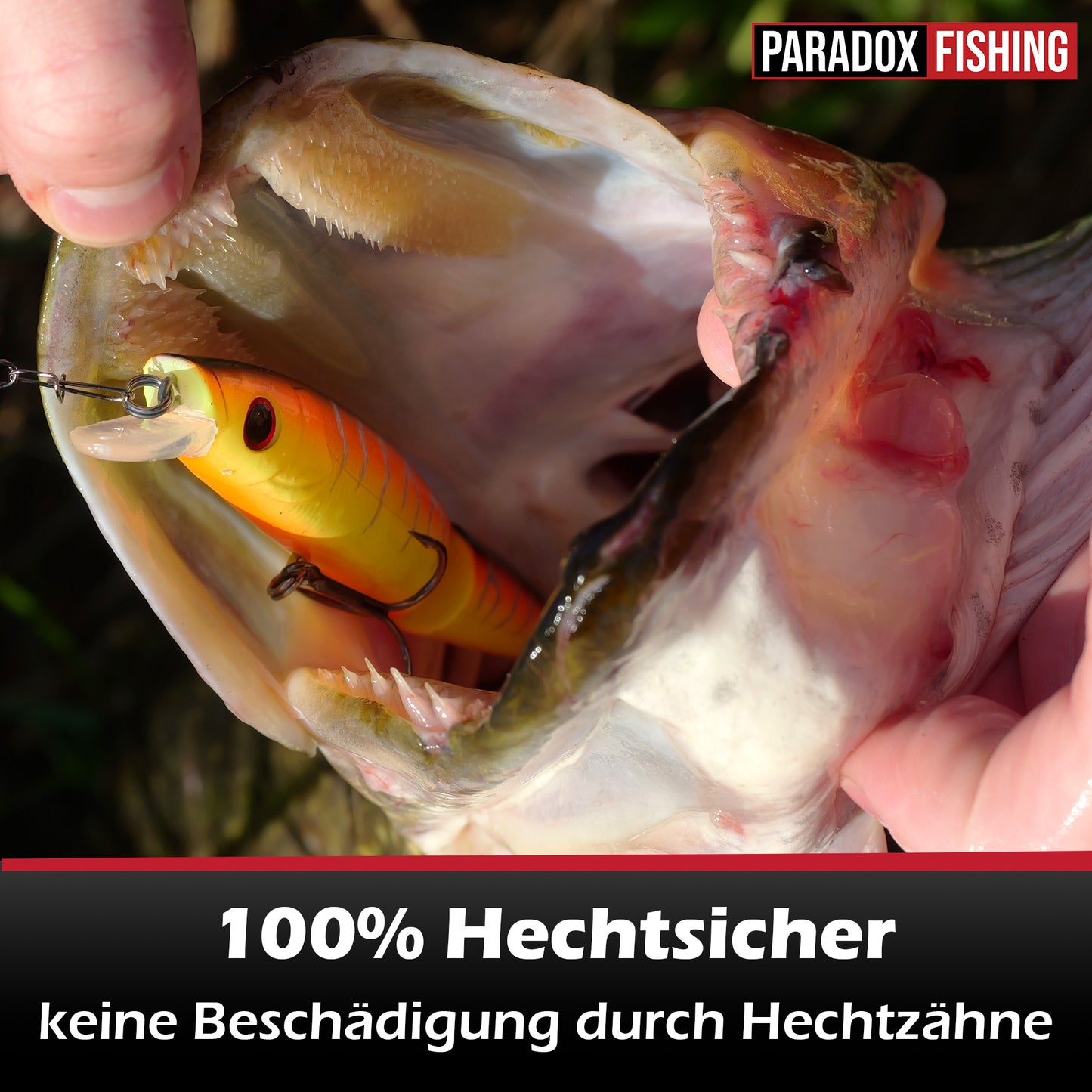 Stahlvorfächer Hecht 10er Set 25cm/40cm 10kg/18kg