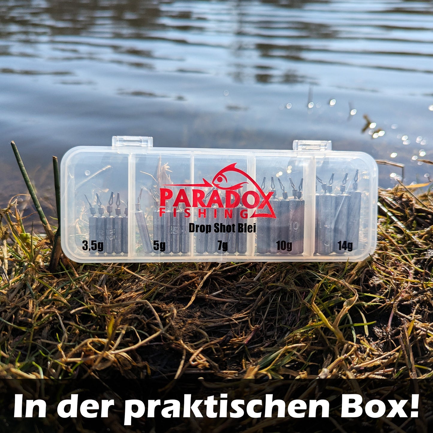 Drop Shot Blei 3,5g-14g / Dropshot Komplett