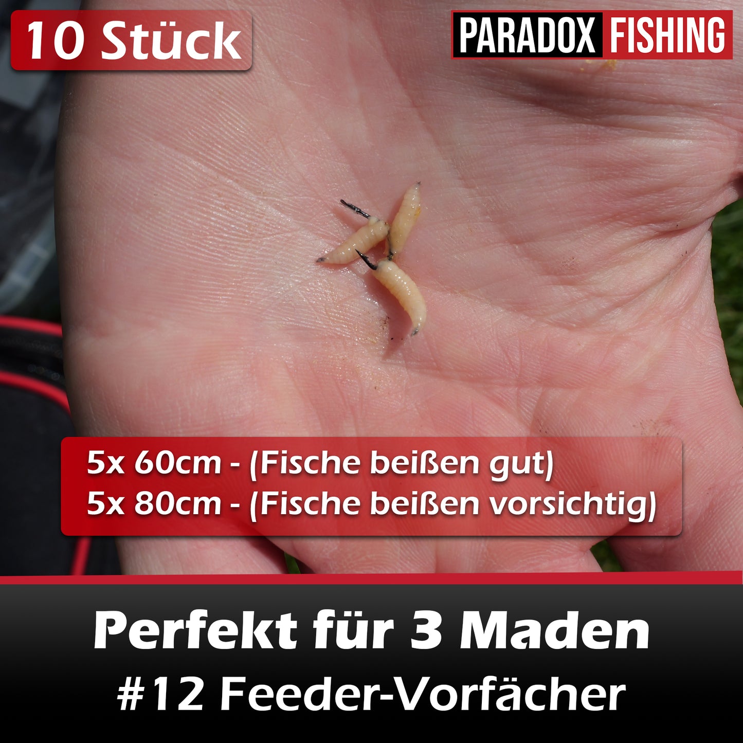 Feeder-Vorfächer #6-#12 60cm/80cm - 10 Stück