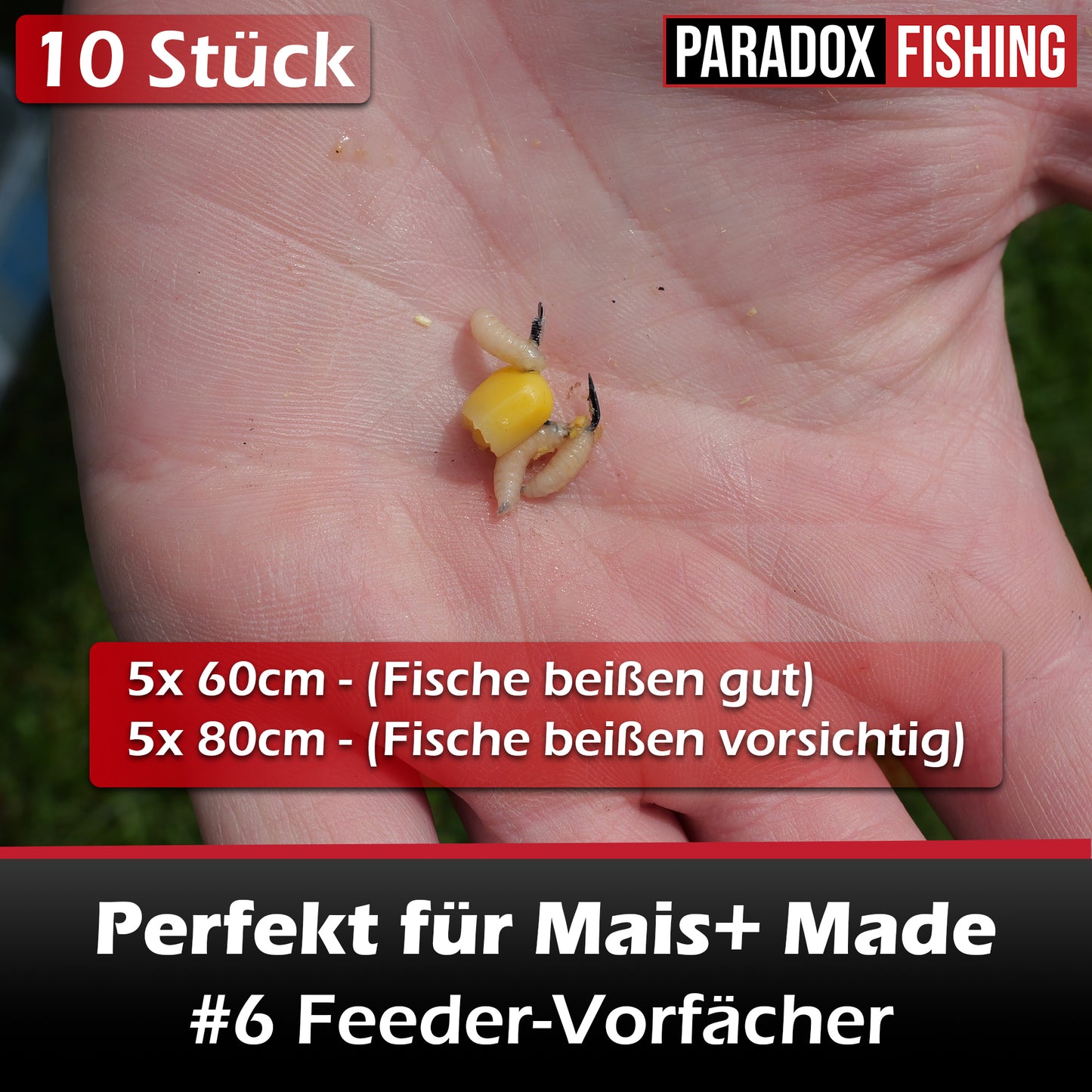 Feeder-Vorfächer #6-#12 60cm/80cm - 10 Stück