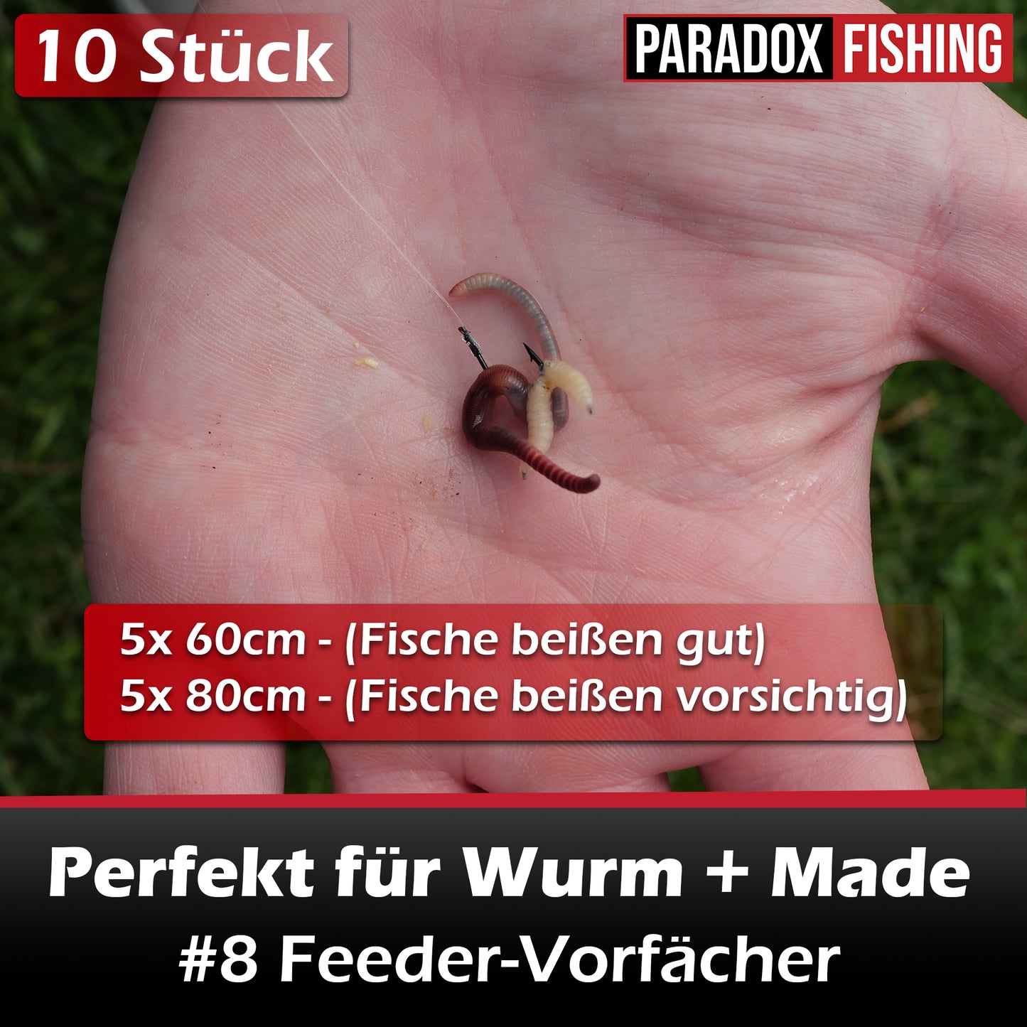 Feeder-Vorfächer #6-#12 60cm/80cm - 10 Stück