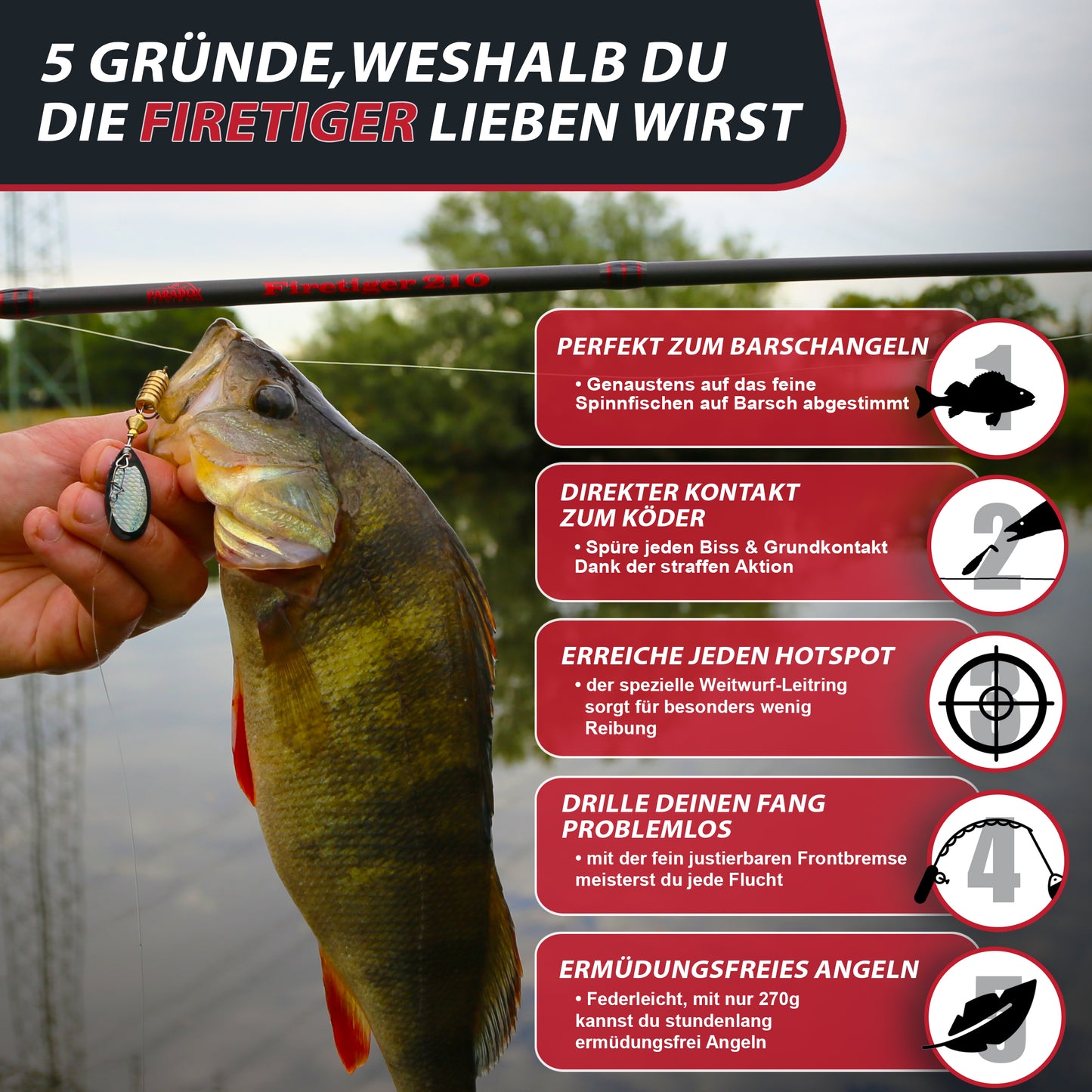 Firetiger Spinnrute 210/240/270 5-20g/15-35g/20-60g mit Infinity Spinnrolle