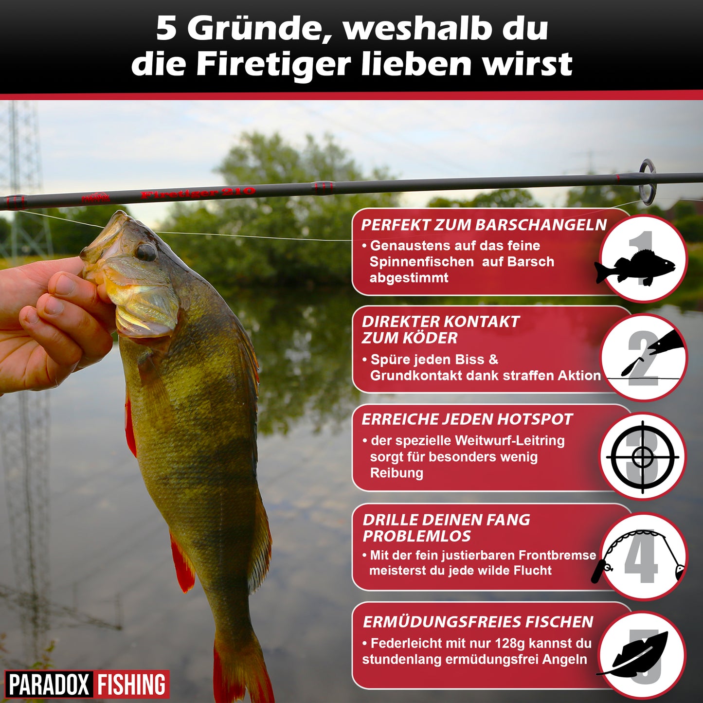 Barsch Komplett Set Firetiger Spinnrute 5-20g + 2000 Rolle