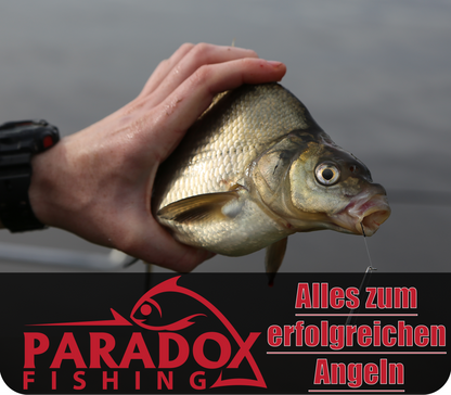 Posen-Set 5 Stück (2,5g-6g) 2g vorgebleit