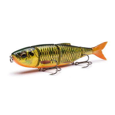 Golden Baitfish
