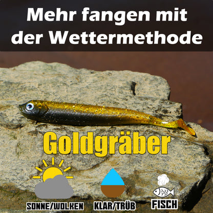 PX Zander Shad Gummifisch 13cm