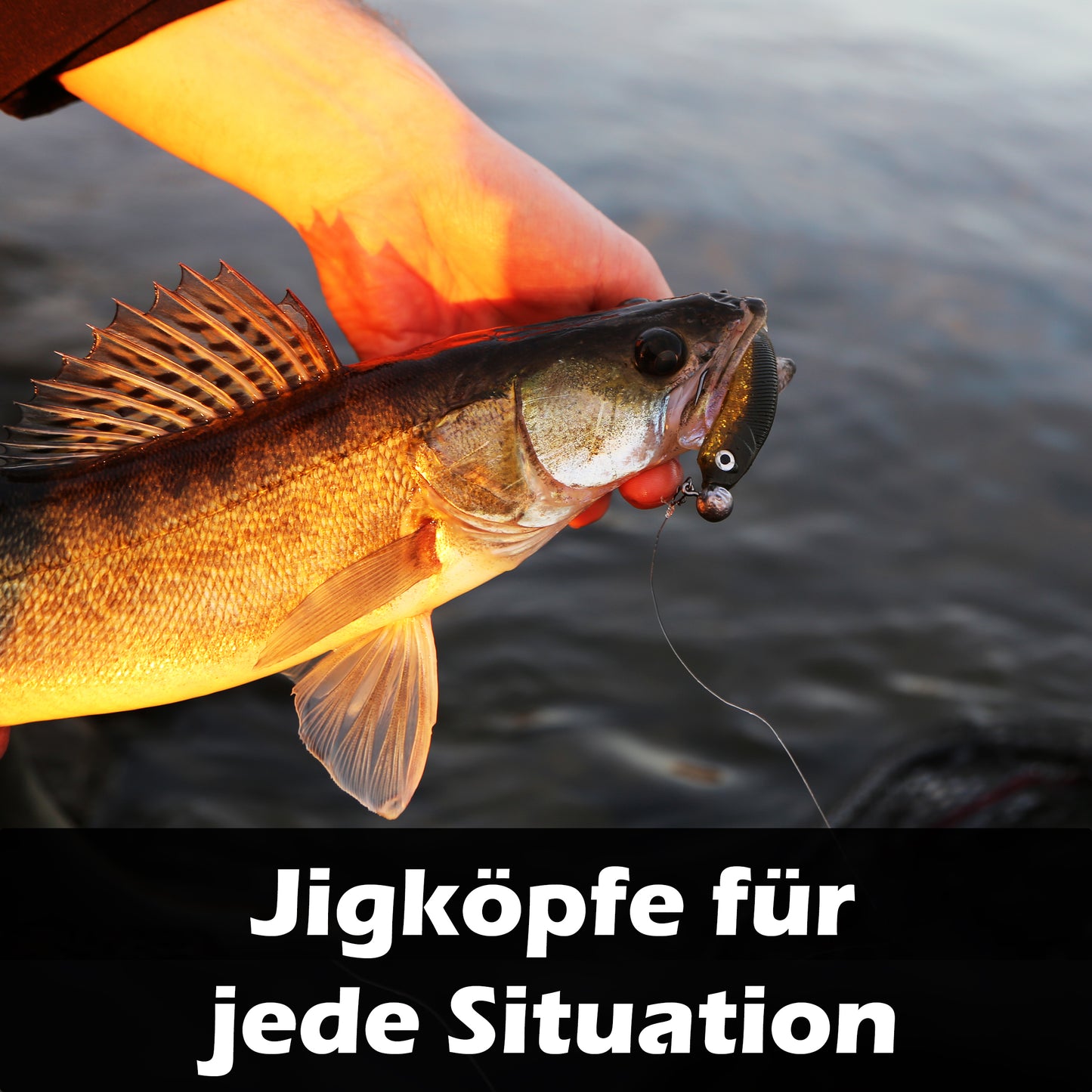 Jigköpfe 3/0 5g-28g mit Baitholder