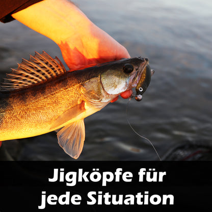 Jigköpfe 3/0 5g-28g mit Baitholder