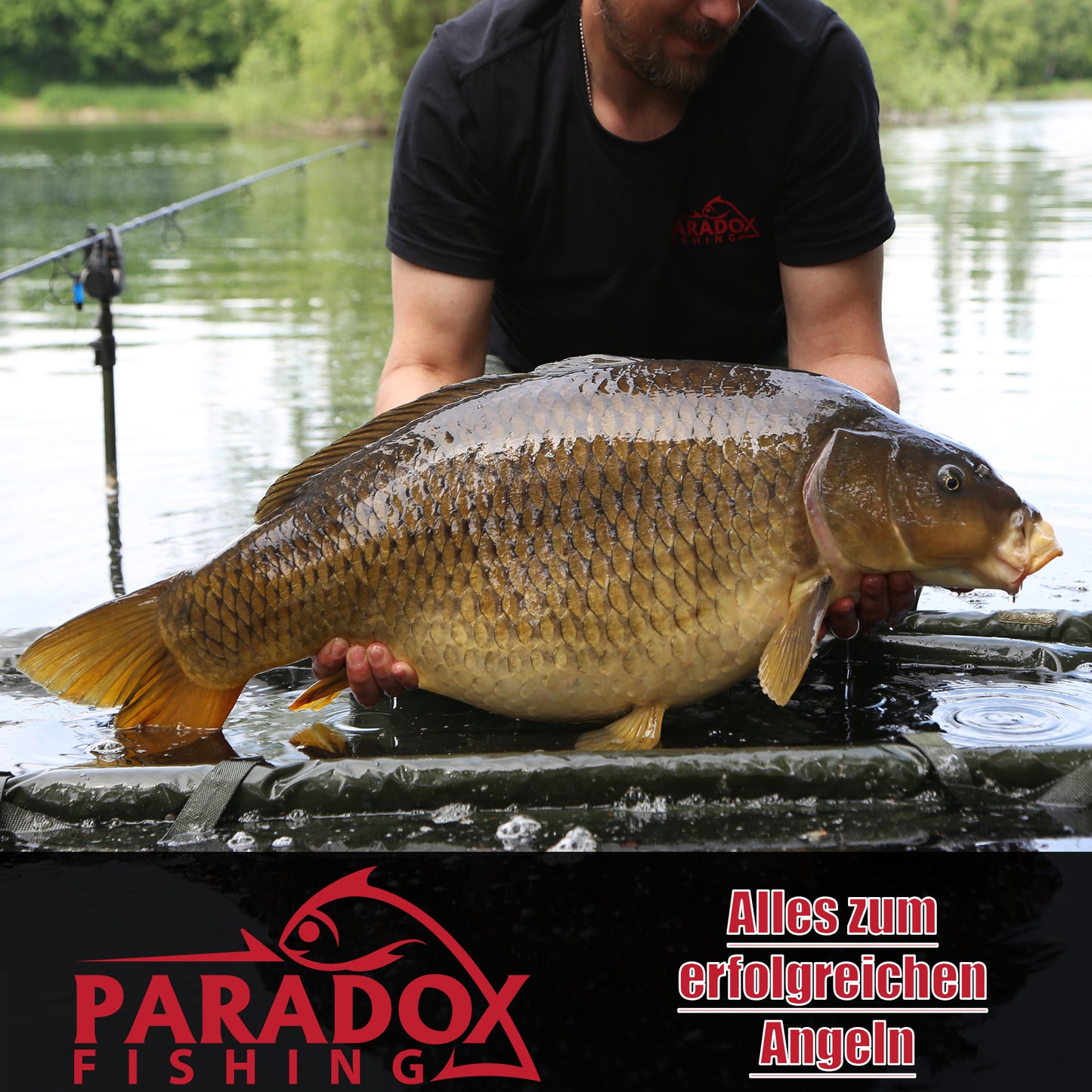 Karpfenblei 56g/71g/85g/99g