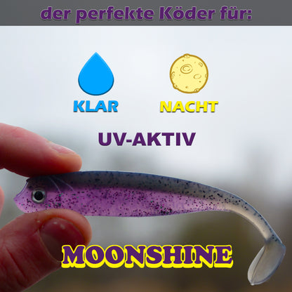 PX Zander Shad Gummifisch 10cm - verschiedene Farben