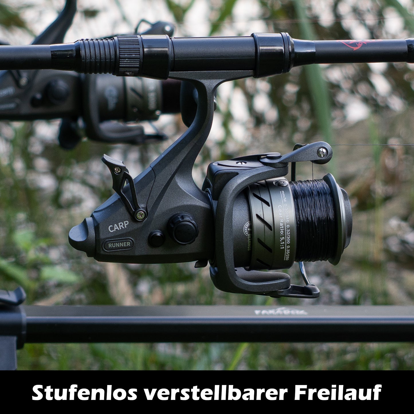 Carp Runner Karpfen Freilauf Rolle 5000