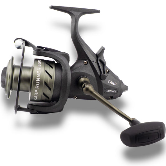 Carp Runner Karpfen Freilauf Rolle 5000