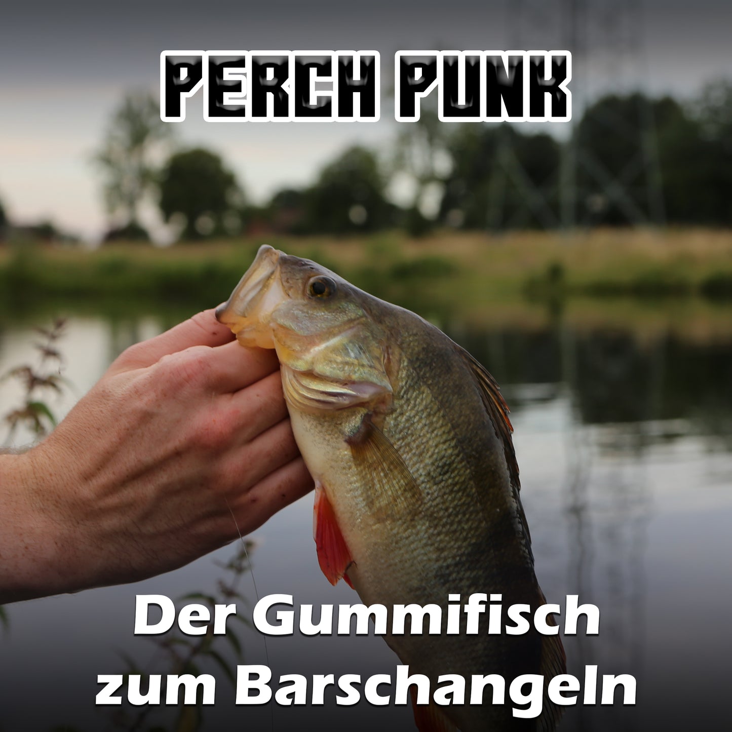 Perch Punk Barsch Gummifische 7,5cm - verschiedene Farben