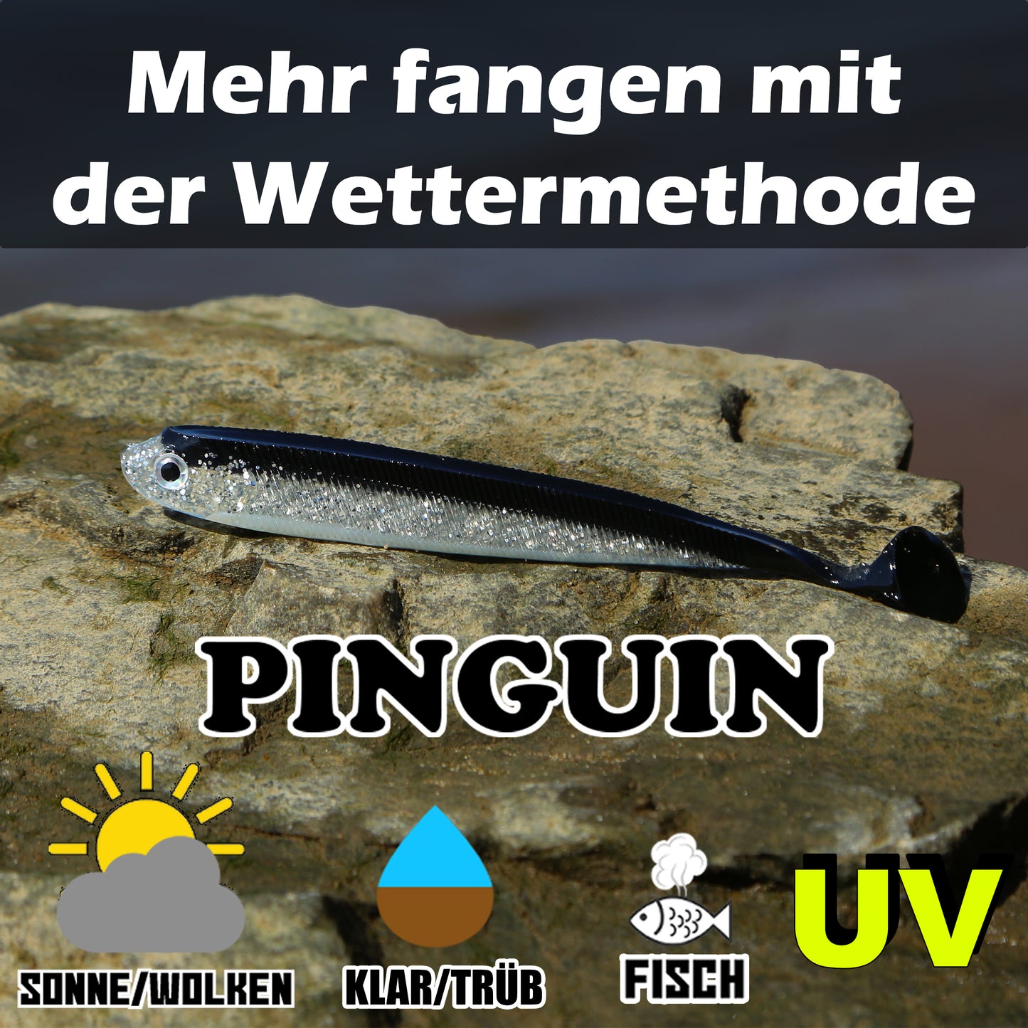 PX Zander Shad Gummifisch 13cm