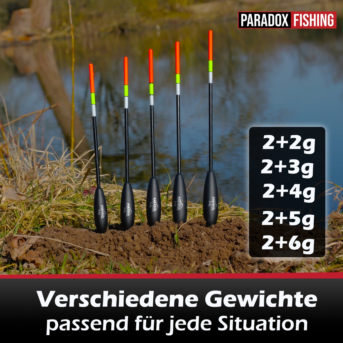 Waggler Set 5 Stück 2g+ 2g/3g/4g/5g/6g mit wechselbaren Gewichten