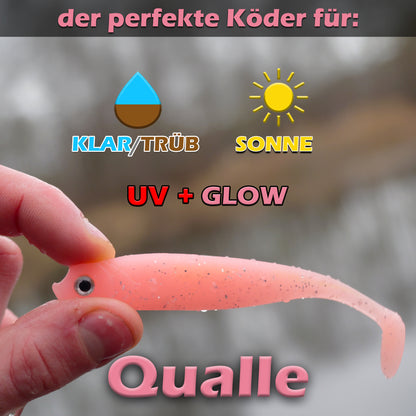 PX Zander Shad Gummifisch 10cm - verschiedene Farben