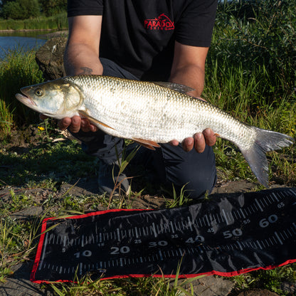 Raubfisch Abhakmatte 140x35cm mit Kniepolsterung