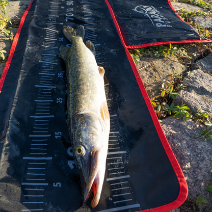 Raubfisch Abhakmatte 140x35cm mit Kniepolsterung