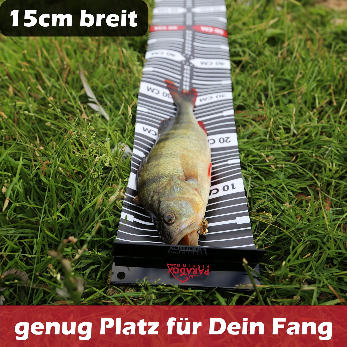 Raubfisch Maßband 120*15cm