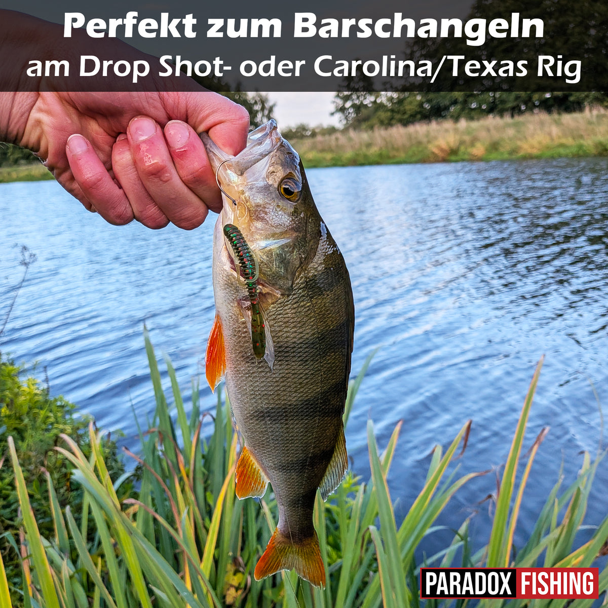 Space Crawler 7cm - 10 Stück Creature Bait für Barsch