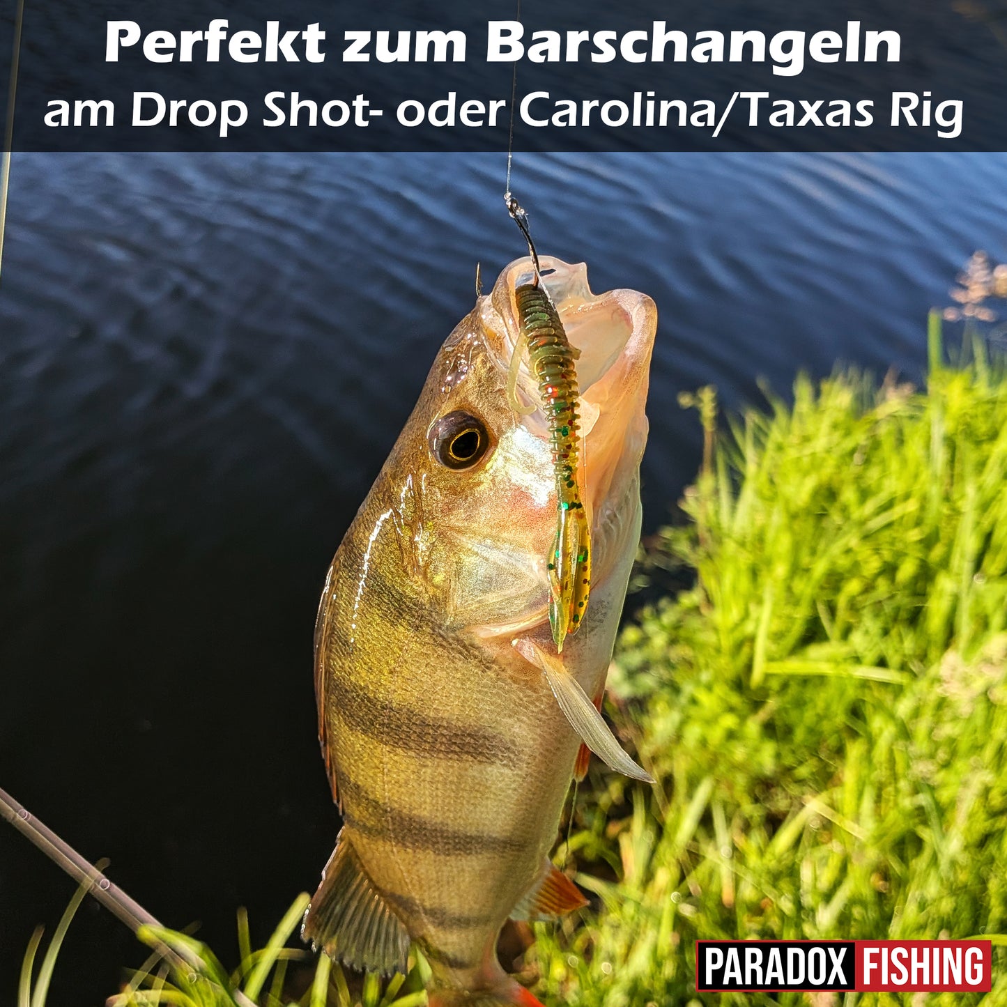 Space Crawler 7cm - 10 Stück Creature Bait für Barsch
