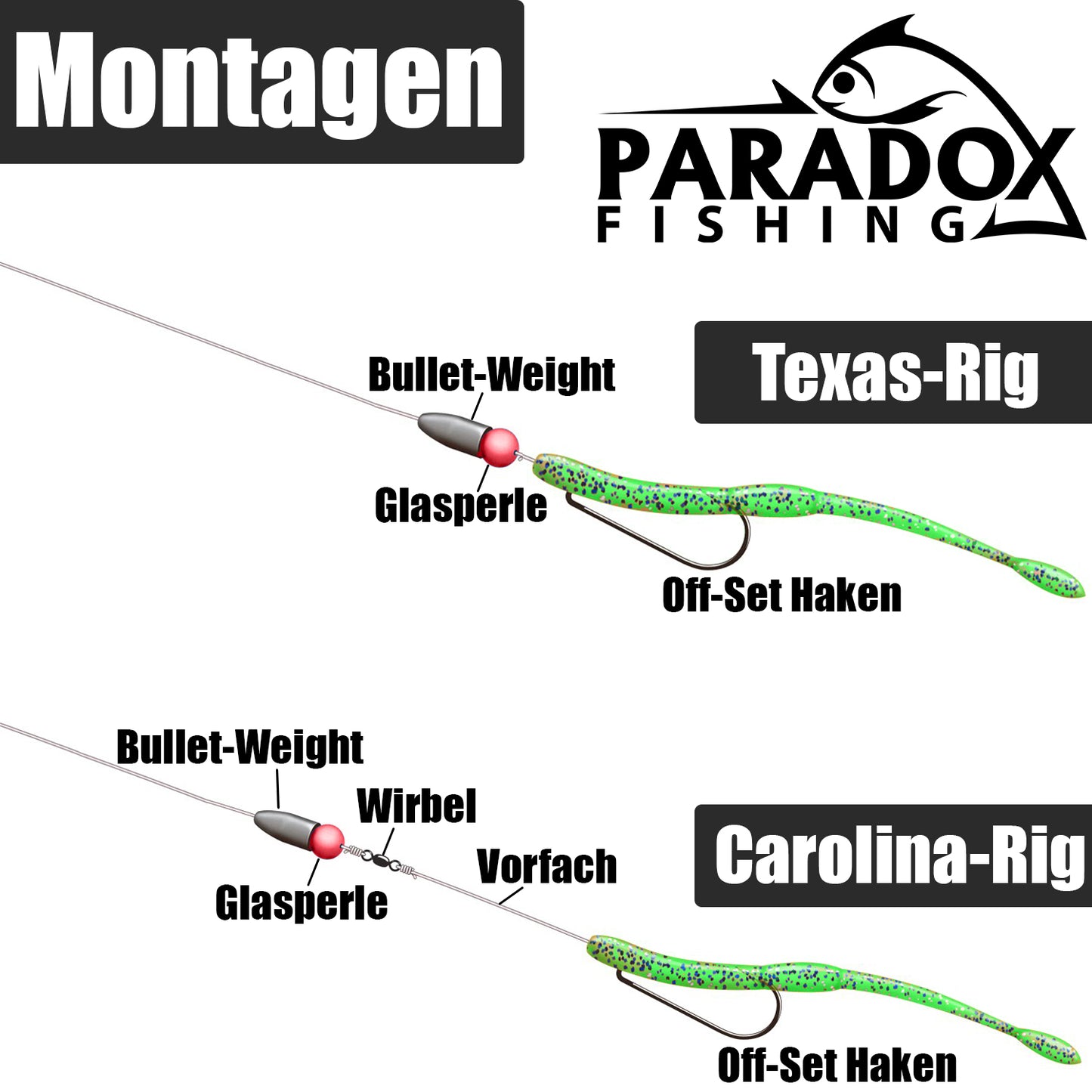 Bulletweight Set für Texas Rig  und Carolina Rig