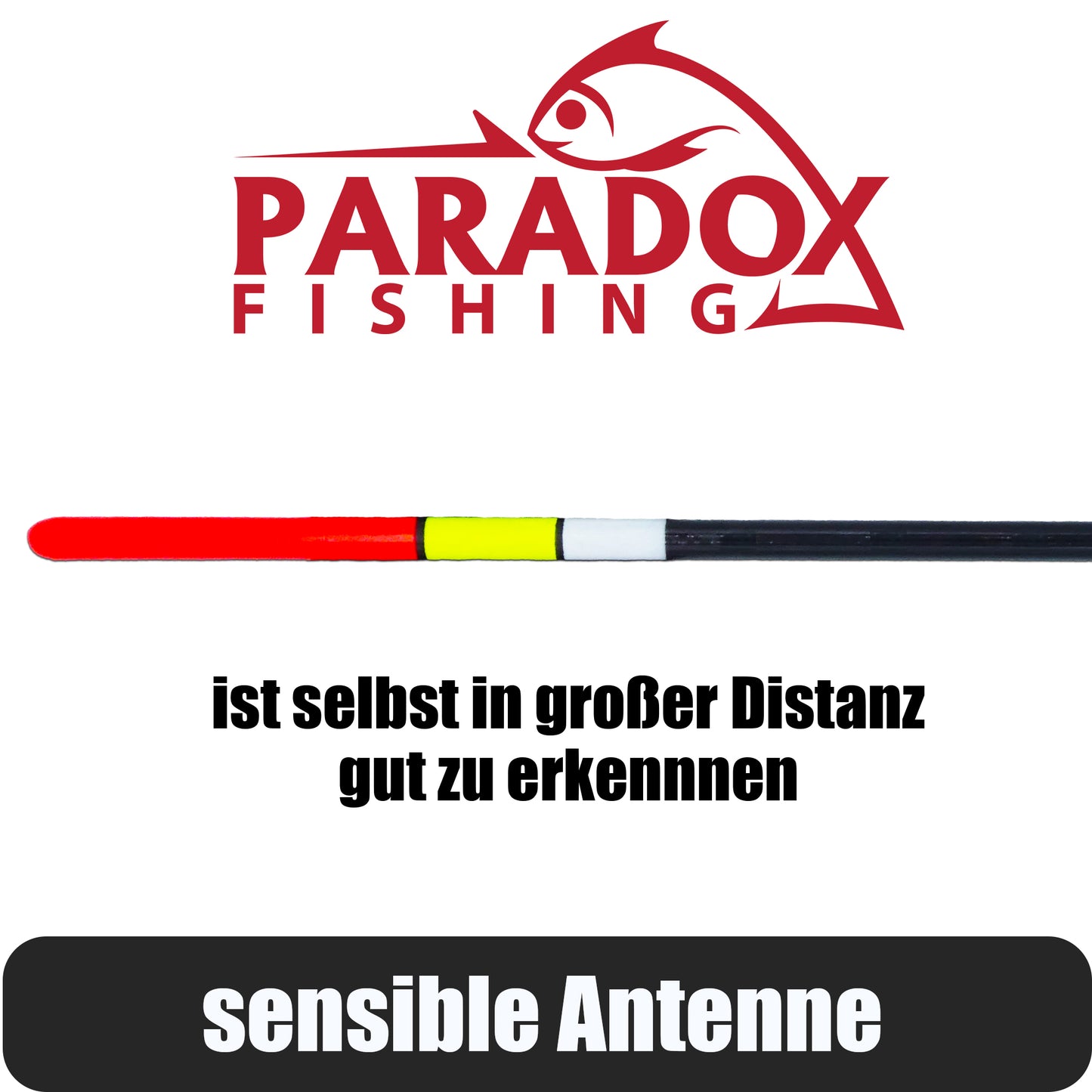 Waggler Set 5 Stück 2g+ 2g/3g/4g/5g/6g mit wechselbaren Gewichten